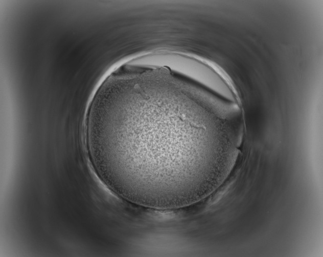 X0000086080911200703301126