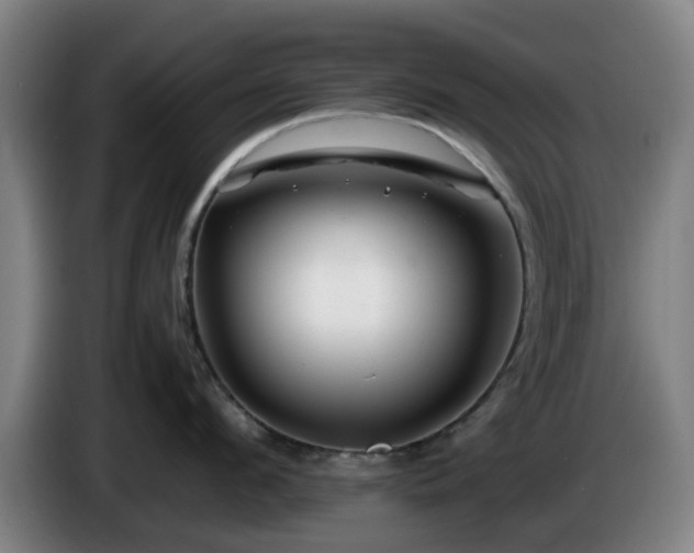 X0000086080912200703301126