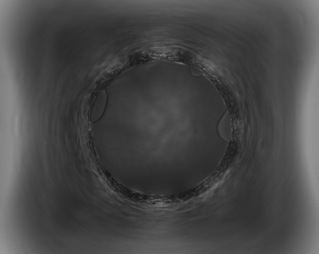 X0000086080913200703301125