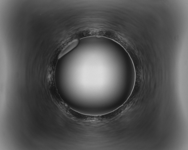 X0000086080914200703301125