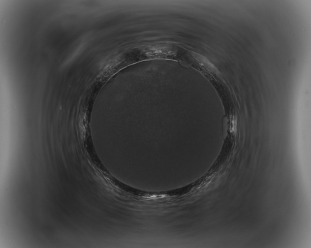 X0000086080915200703301125