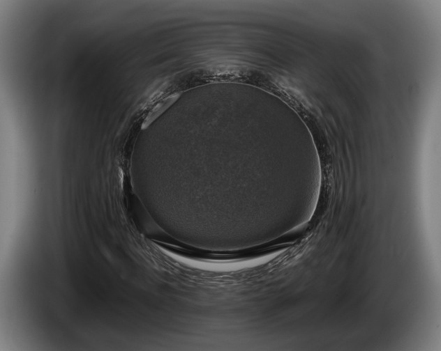 X0000086080916200703301125