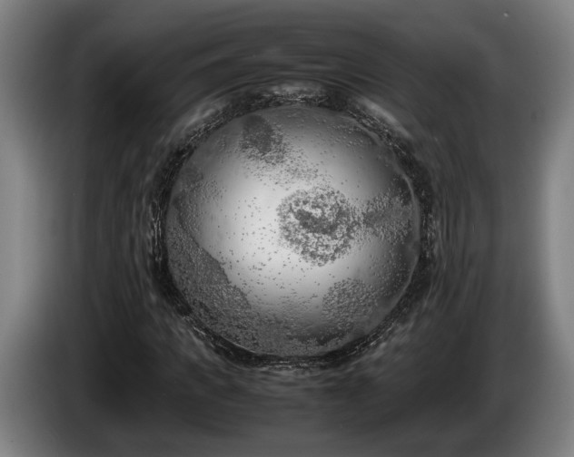 X0000086080917200703301125