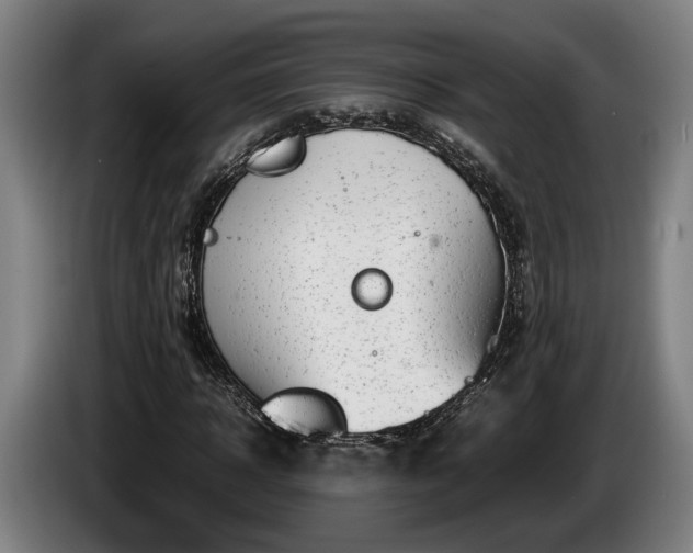 X0000086080918200703301125