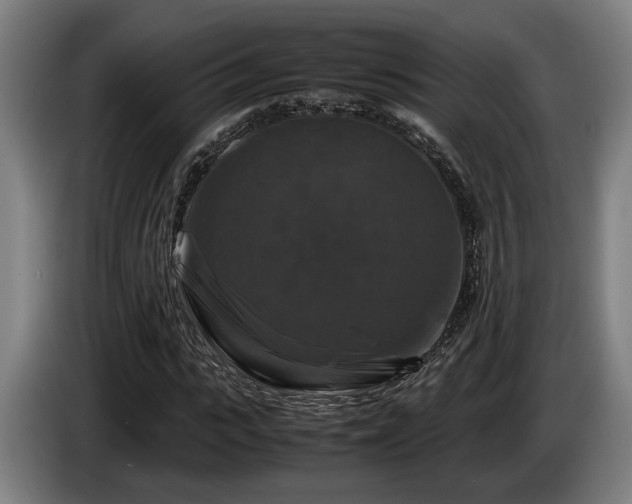 X0000086080919200703301125