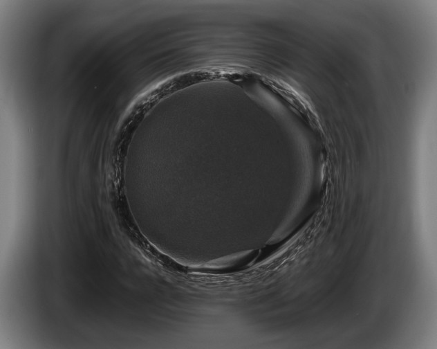 X0000086080920200703301125