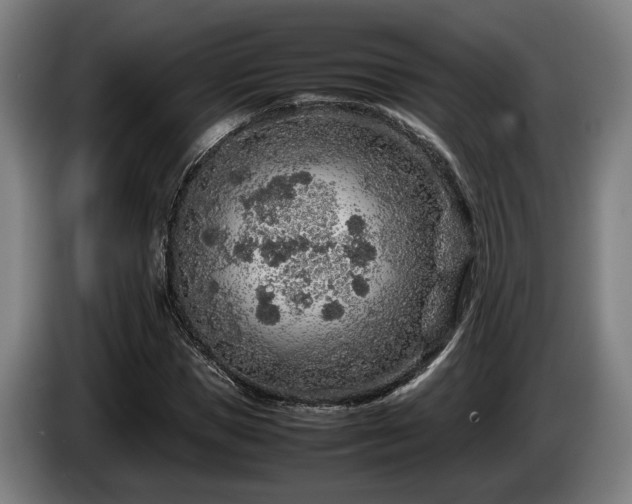 X0000086080921200703301125