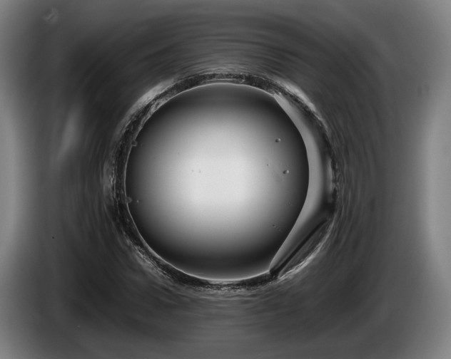 X0000086080922200703301125