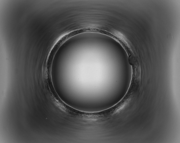 X0000086080924200703301125