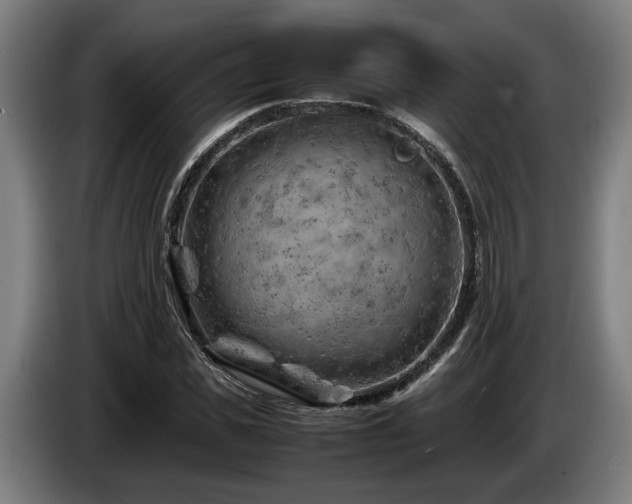 X0000086080925200703301125