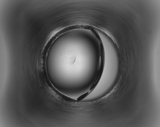 X0000086080926200703301125