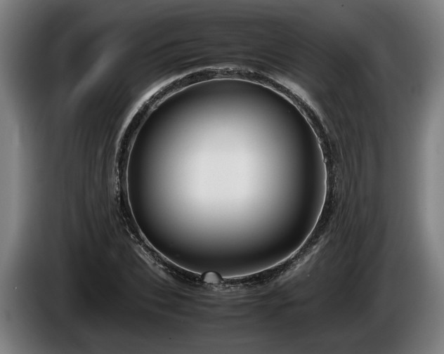 X0000086080927200703301125