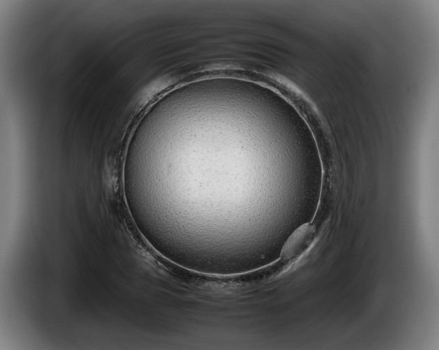 X0000086080929200703301125