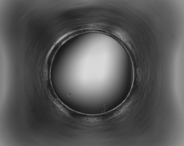 X0000086080931200703301125