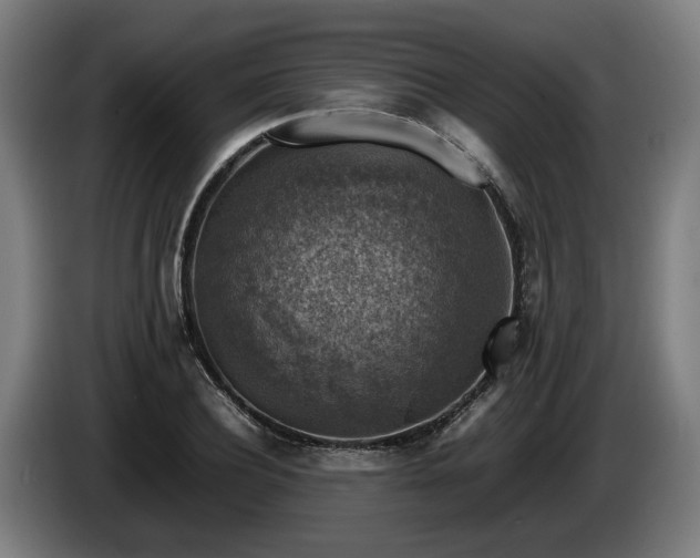 X0000086080932200703301125