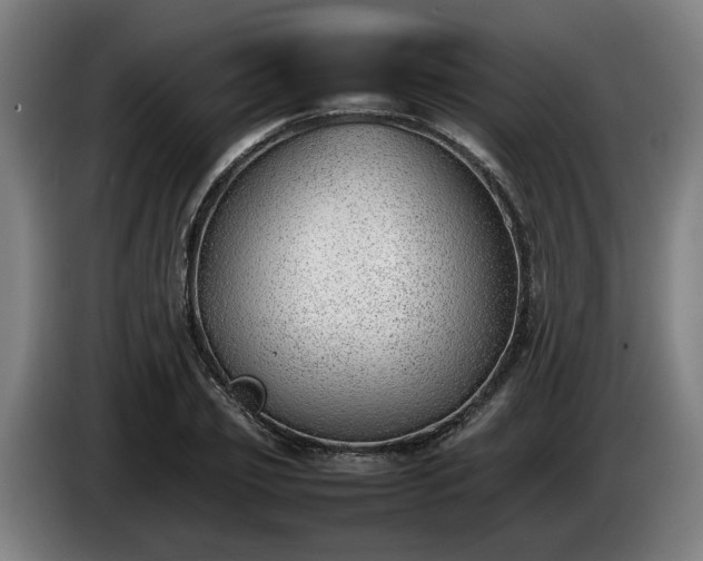 X0000086080933200703301125