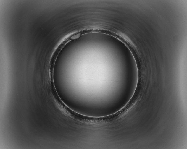 X0000086080934200703301125