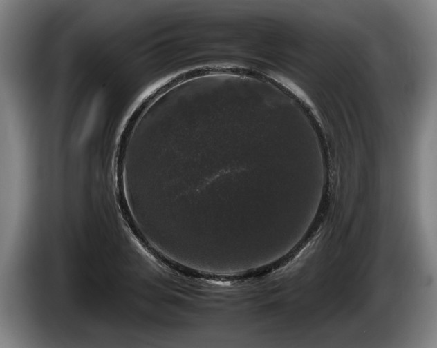 X0000086080935200703301125