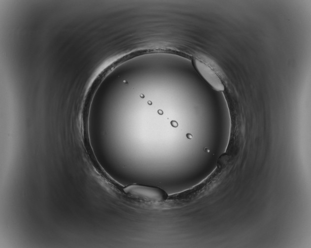 X0000086080936200703301125