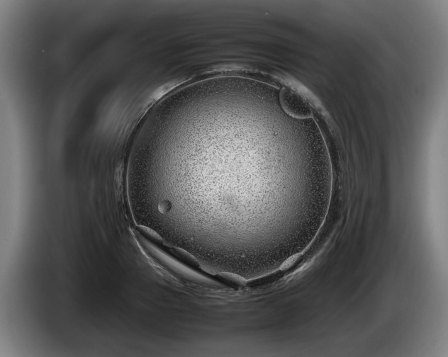 X0000086080937200703301125