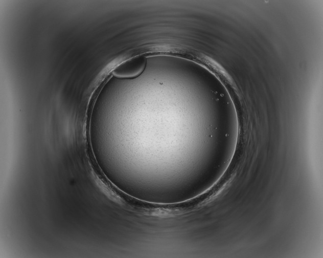 X0000086080938200703301125