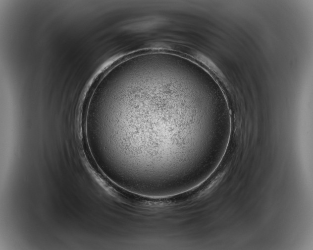 X0000086080939200703301125