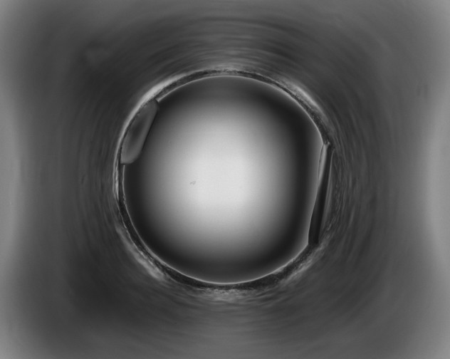 X0000086080940200703301125