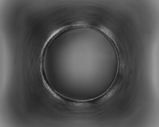 X0000086080941200703301125