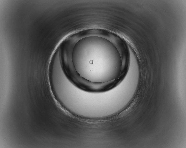 X0000086080942200703301125