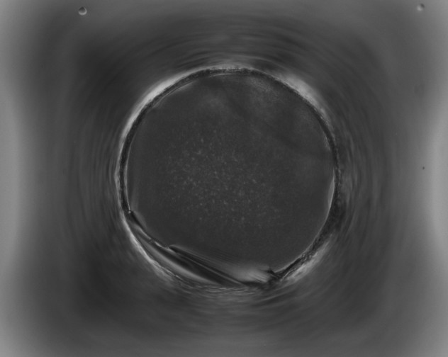 X0000086080943200703301125