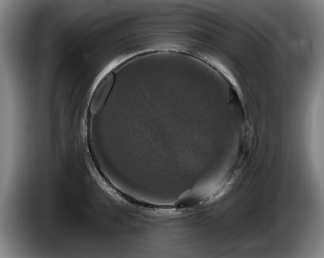 X0000086080944200703301125