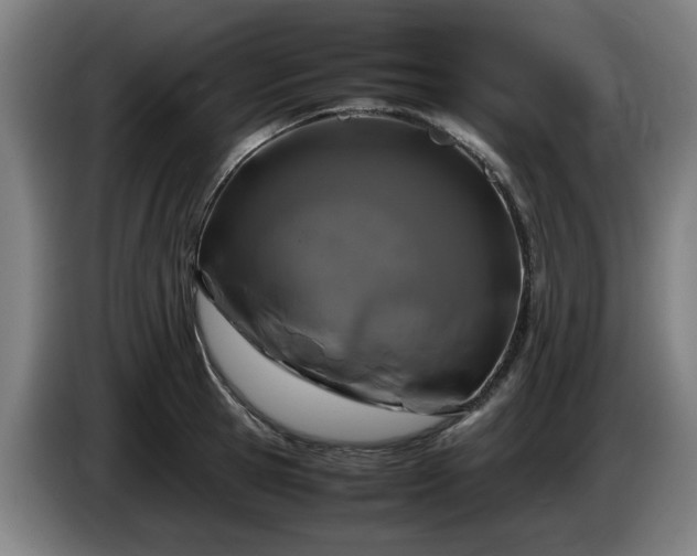 X0000086080945200703301125