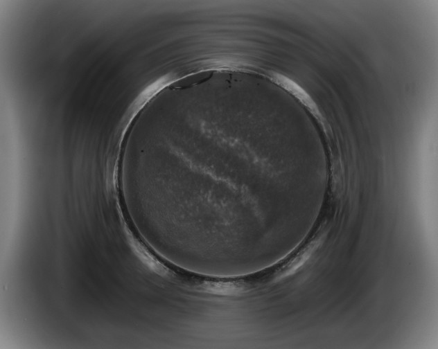 X0000086080946200703301125