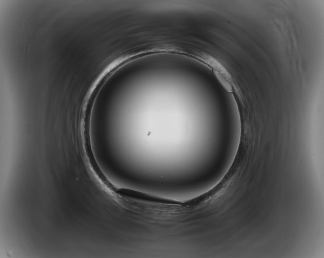 X0000086080947200703301125