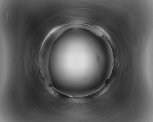 X0000086080948200703301125