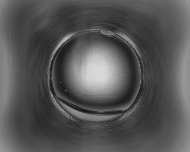 X0000086080949200703301125