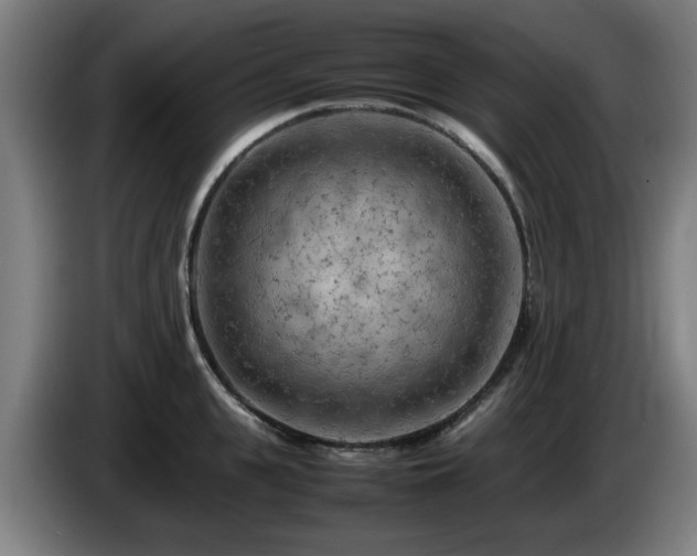 X0000086080951200703301125