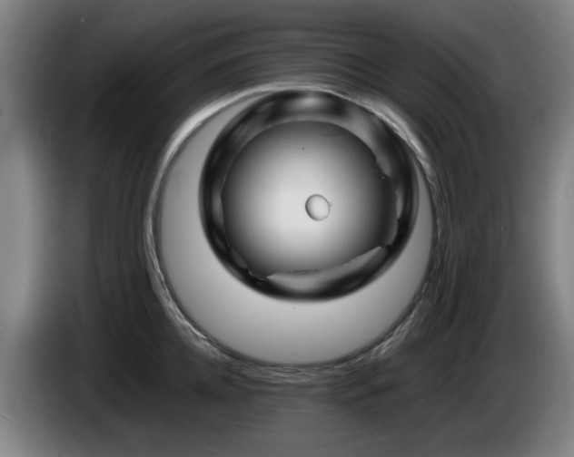 X0000086080952200703301125