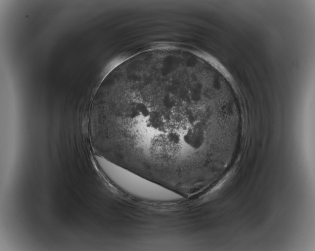 X0000086080953200703301126