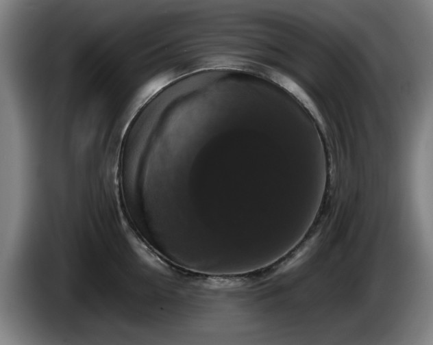 X0000086080954200703301126