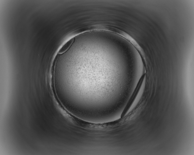 X0000086080955200703301126