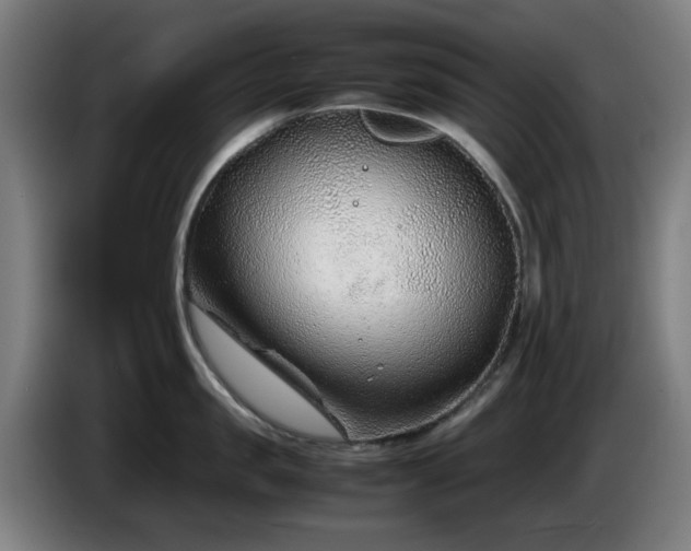 X0000086080957200703301126