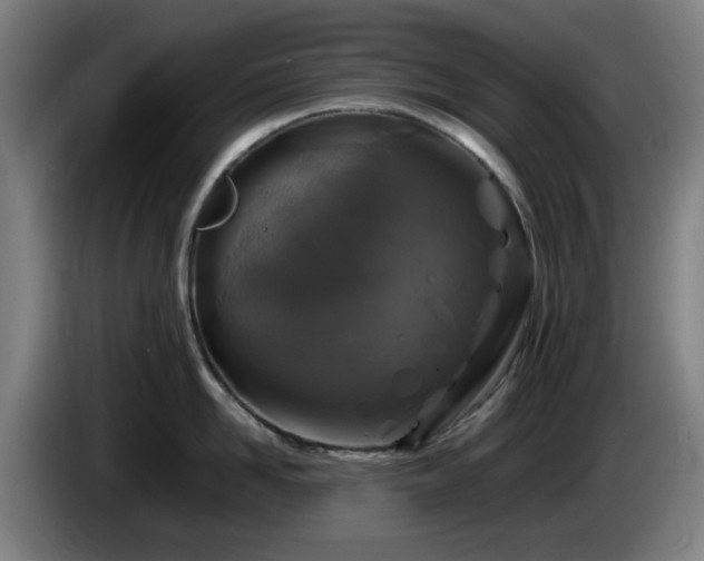 X0000086080958200703301126