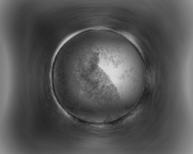 X0000086080959200703301126