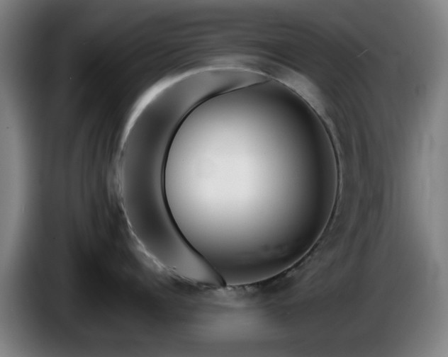 X0000086080960200703301126