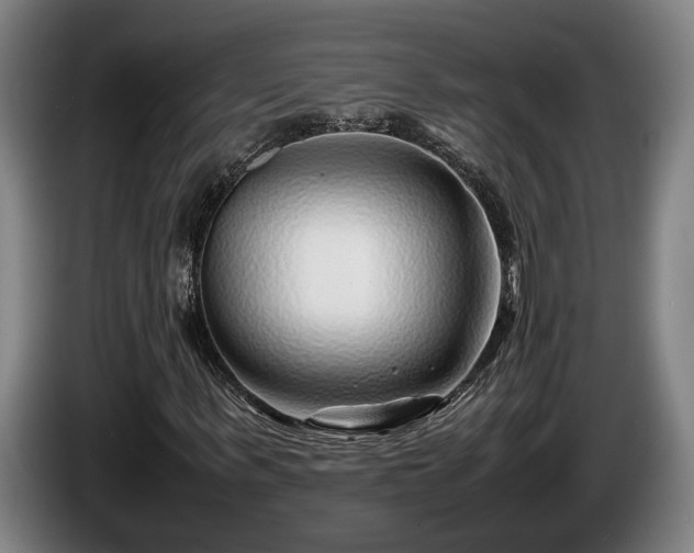 X0000086080963200703301125