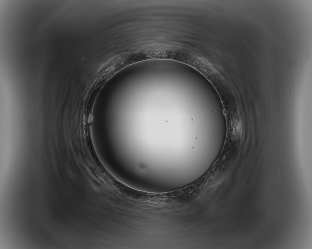 X0000086080964200703301125