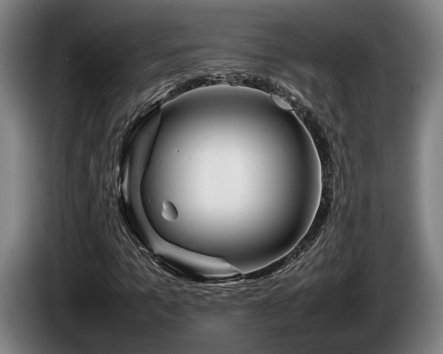 X0000086080965200703301125