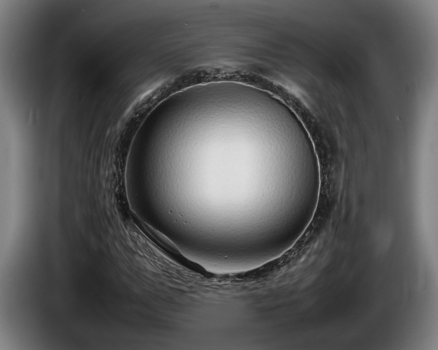 X0000086080967200703301125