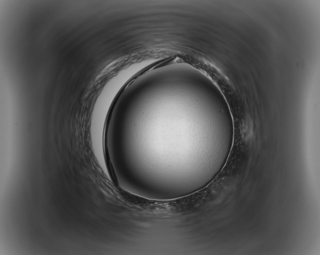 X0000086080968200703301125